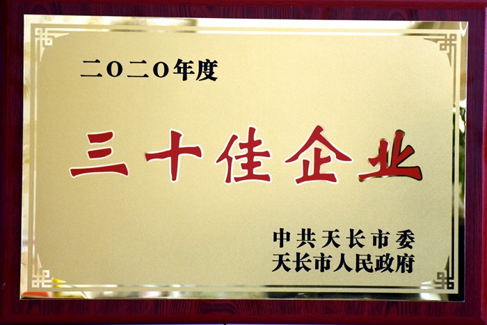 2020年度三十佳企業(yè)_副本.jpg